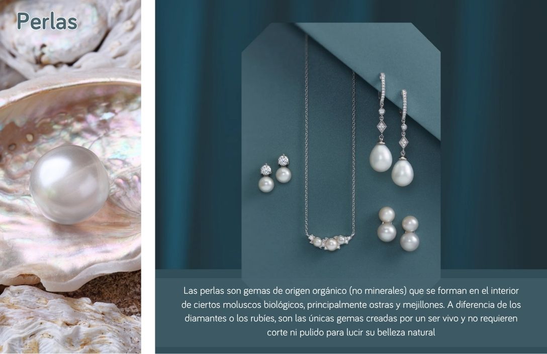 Collage visual sobre fondo azul marino para la guía de piedras de nacimiento de Joyería Marga Mira. El panel izquierdo muestra una perla blanca redonda y brillante descansando dentro de la nácar iridiscente de una ostra abierta. Sobre ella, el título "Perlas". El panel derecho presenta un conjunto de joyería de perlas sobre un fondo azul petróleo: un collar de cadena con un colgante de racimo de perlas pequeñas, y tres pares de pendientes de perlas (uno de tachuelas dobles, uno de tachuelas individuales, y uno de perlas colgantes con detalles de diamantes). Debajo de la joyería, un bloque de texto explicativo en español: "Las perlas son gemas de origen orgánico (no minerales) que se forman en el interior de ciertos moluscos biológicos, principalmente ostras y mejillones. A diferencia de los diamantes o los rubíes, son las únicas gemas creadas por un ser vivo y no requieren corte ni pulido para lucir su belleza natural".